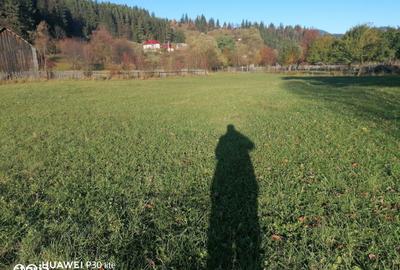 Teren de 3200 mp, în Sadova - 2