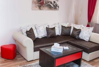 Apartament cu 2 camere semidecomandat în Vasile Aaron - 4