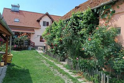 Casă cu 6 camere cu Teren 750 Mp în Simeria - 8
