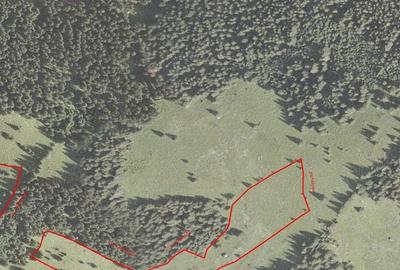 Teren de 34600 mp, în Cârlibaba - 2