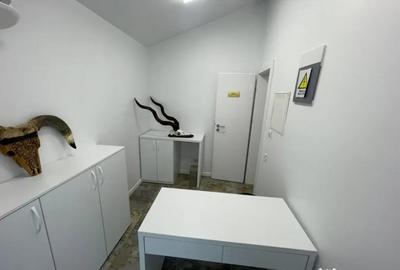 Spațiu comercial, de 66 mp, în Brazda lui Novac - 5