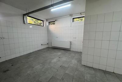 Spatiu cu alta destinatie Lipovei !!! - 9