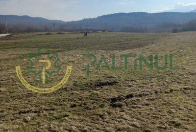 Teren de 1737 mp, în Chirpăr - 5