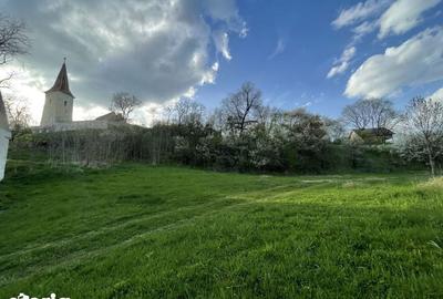 Teren de 5370 mp, în Roșia - 1