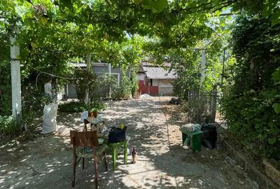 Casă cu 3 camere cu Teren 1400 Mp în Husasău de Tinca - 6