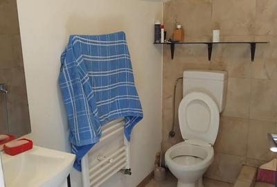 Casă cu 1 camere în Central - 1