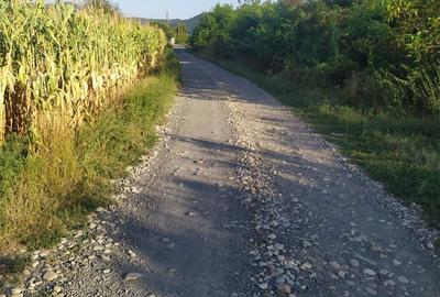 Teren de 2000 mp, în Brănișca - 1