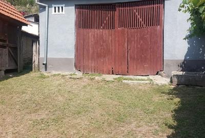 Vand casa cu gradina sat Bobalna Hunedoara - 2