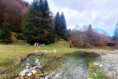 Teren de 4591 mp, în Zărnești - 4