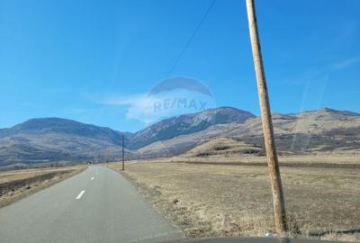 Teren Construcții intravilan de 1271 mp, în Izvoarele (Livezile) - 2