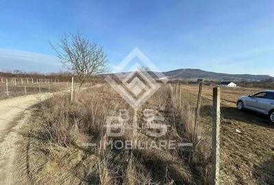 Teren intravilan Zona Unirea - 1