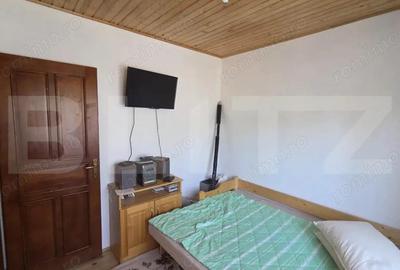 Casa de vacanca cu potential turistic, 1603 mp teren, Cernatesti - 8