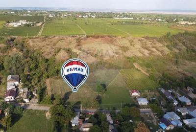 Teren de 4267 mp, în Satu Nou (Panciu)