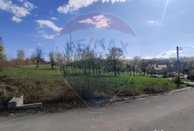 Teren de 1600 mp, în Cărbunari - 7