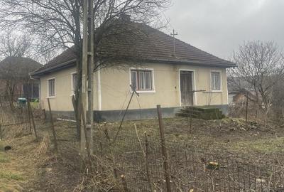 Casă cu 3 camere în Gârceiu