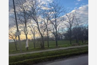 Teren de 6800 mp, în Ciorani