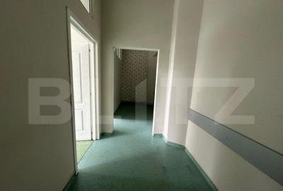 Spațiu comercial, de 330 mp, în Cetate - 5