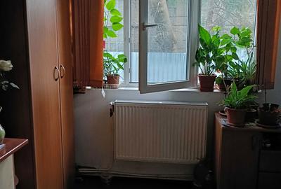 Garsonieră nedecomandată în Prundu - 4