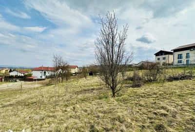 Teren de 655 mp, în Făget - 4