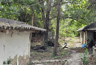 Spațiu comercial, în Dârza - 6