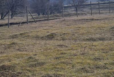 Spațiu comercial, în Drajna - 2