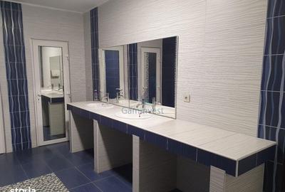 Spațiu comercial, de 766 mp, în Oșorhei - 11