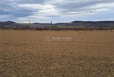 Teren 5000 mp langa E68 - 6