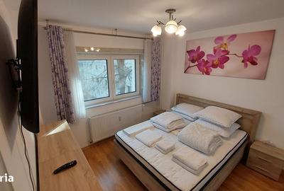 Apartament cu 2 camere semidecomandat, mobilat în Titan - 6