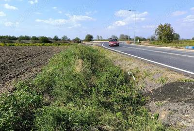 Teren intravilan Vadu-Pasii - 6