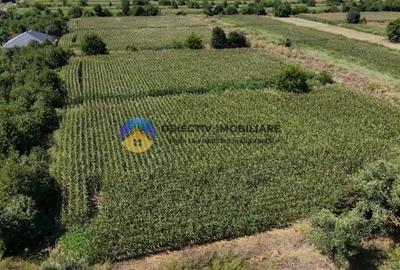 Teren de 3866 mp, în Izvoare (Dumbrava Roșie) - 5