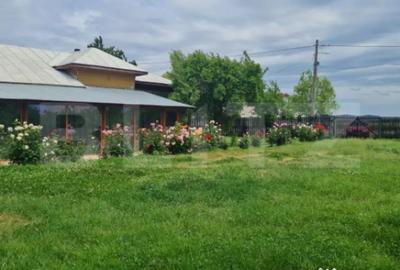 Casă cu 4 camere cu Teren 1710 Mp în Central - 2