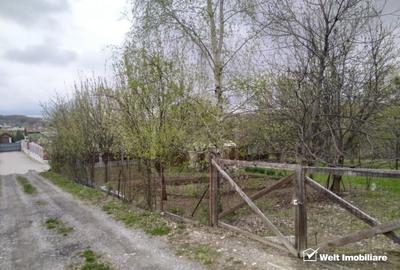 Teren constructii , drum de acces, Salicea