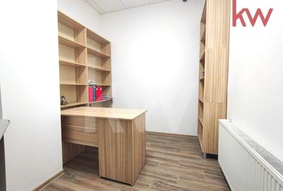 Spatiu birouri, premium, mobilat, Lapus Arges - 13