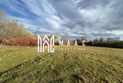 Teren agricol extravilan de 1800 mp, în Cârțișoara - 3