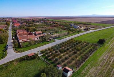 De vanzare teren cu livada in Sarbova! - 1