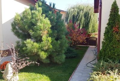 Drumul Negru - Pipera, vila P+1E, locatie linistita - 3