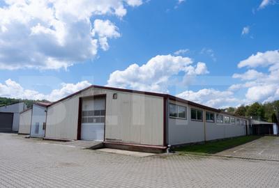 2 Hale+Birouri de inchiriat, acces tir, zona Scheia - 3