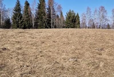 Teren de 1000 mp, în Râșca - 1