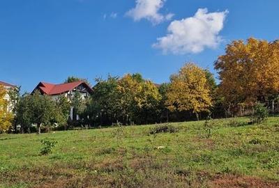 Teren de 5000 mp, în Bucium - 1