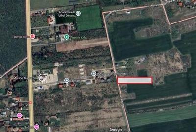 5444 mp, Saftica - Balotesti, Intravilan - 1