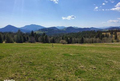 Spațiu comercial, în Piatra - 1