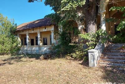 Casa cu teren 11414 mp , Vladimir-Andreesti , Jud.Gorj Pret 60000 - 3