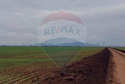 Comision 0 %! Teren extravilan, 21,175 mp Harman - 5