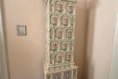 Conac Unicat Timis - 4