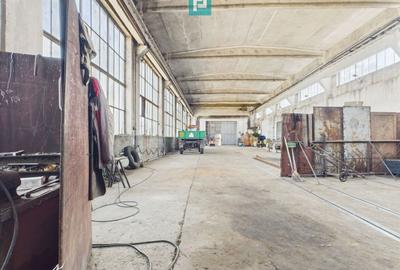 Spațiu industrial, de 6,179 mp, în Orțișoara - 40