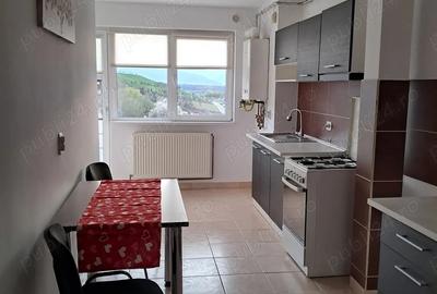 Apartament cu 3 camere decomandat în Tilișca - 9