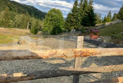 Casă cu 4 camere cu Teren 3450 Mp în Central