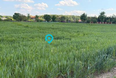 Teren Construcții intravilan de 1127 mp, în Snagov - 6