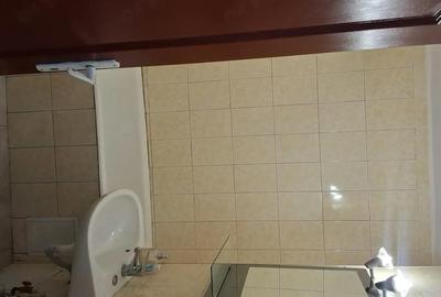 Apartament cu 3 camere decomandat în Lipovei - 9