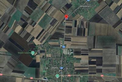 Cota de 5/24 din teren extravilan Carpinis, judetul Timis; - 6
